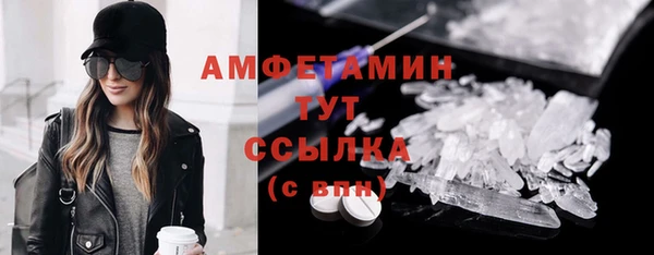 сатива Аркадак