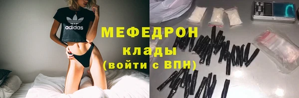 сатива Аркадак
