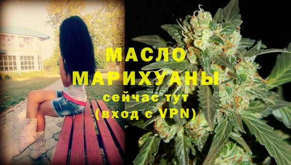 сатива Аркадак
