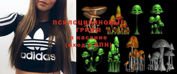 ALPHA PVP Арсеньев