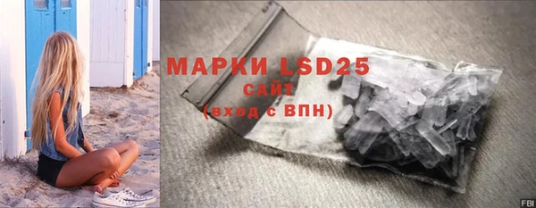 сатива Аркадак